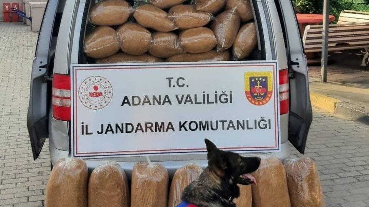 Adana’da kaçak 255 kilogram tütün ele geçirildi