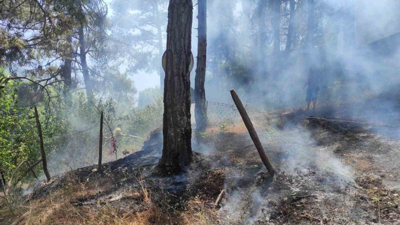 Adana Kozan’da orman yangını, ekipler kontrol altına aldı