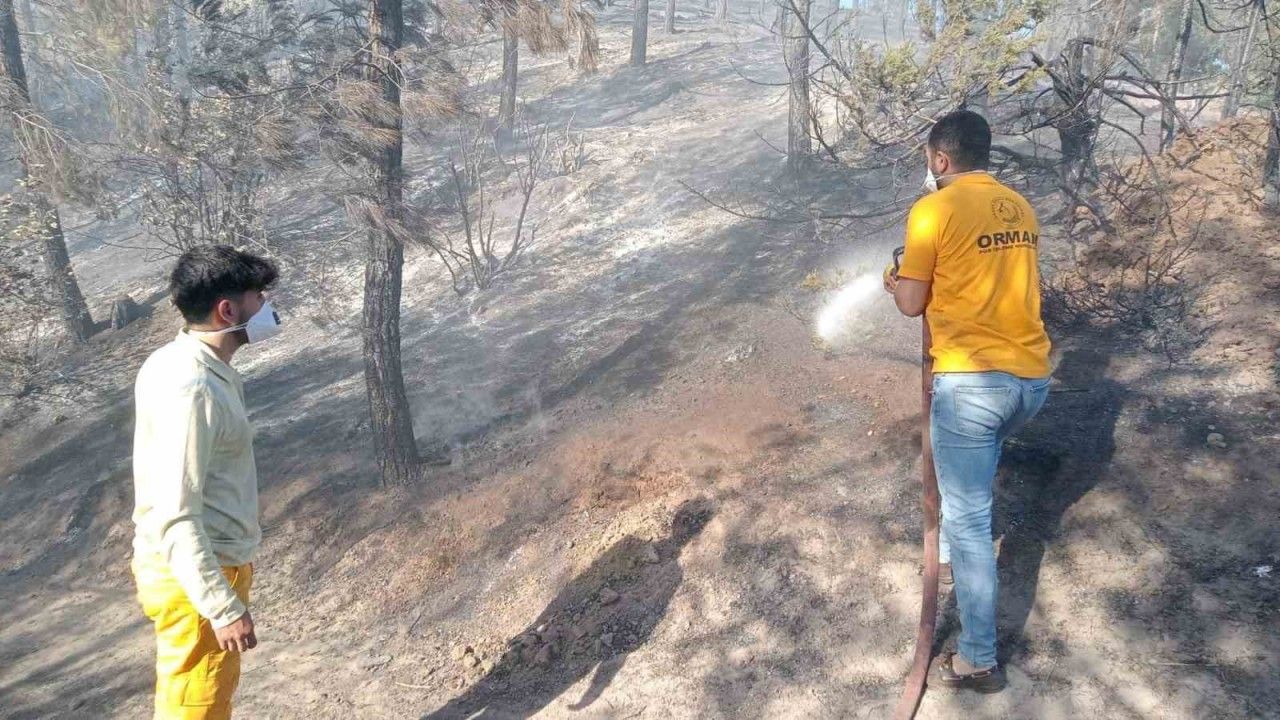 Adana’da orman yangını, büyümeden kontrol altına alındı
