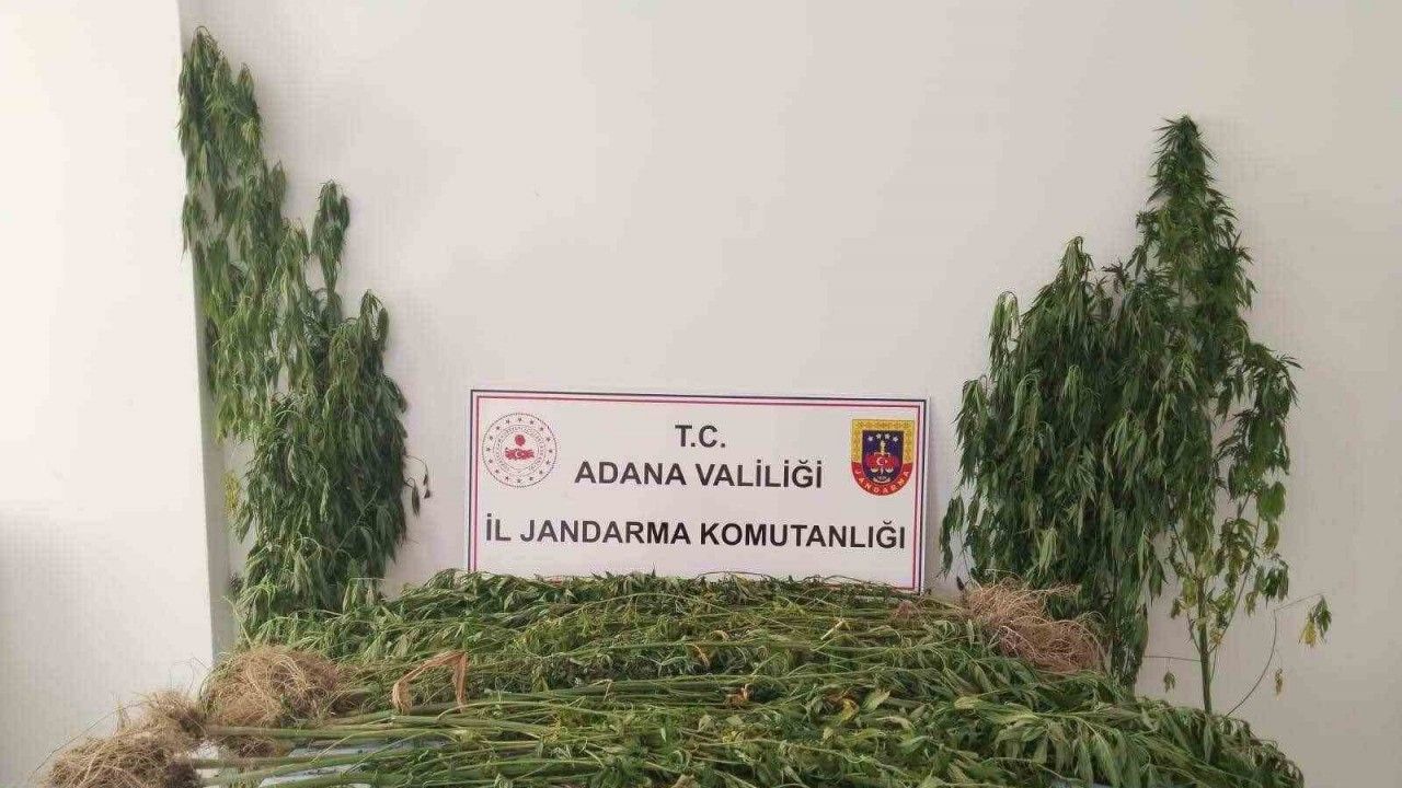 Adana’da uyuşturucu ile mücadele 14 şahıs yakalandı