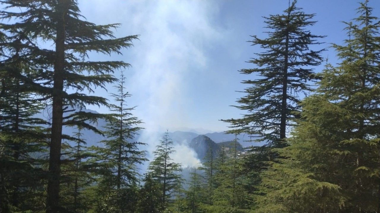 Adana Feke’deki orman yangını kontrol altına alındı
