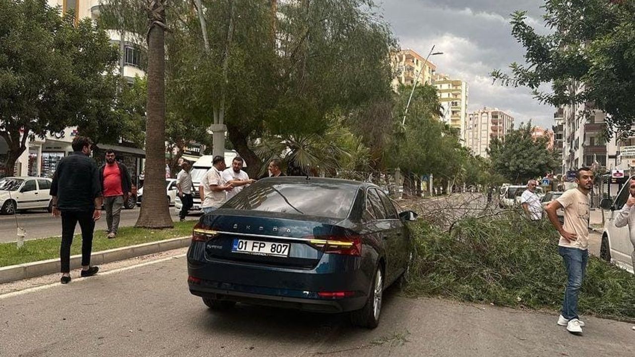 Adana’da kuvvetli yağış ve rüzgar hayatı olumsuz etkiledi