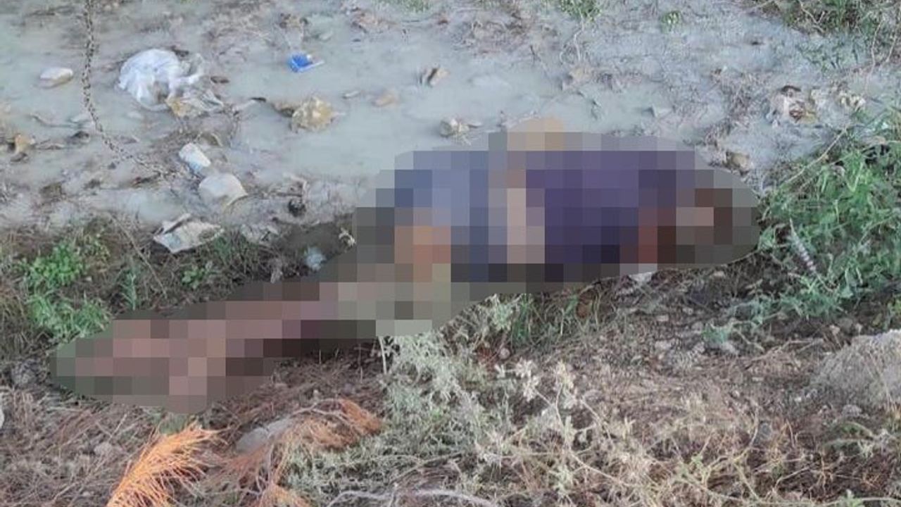 Adana'da şüpheli ölüm! Dere kenarında bacaklarından ve boynundan darp edilmiş kadın cesedi bulundu