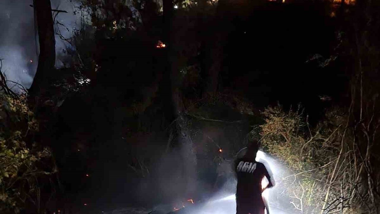 Adana’daki orman yangını büyümeden söndürüldü