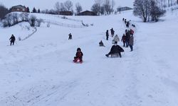 Artvin’de kar yağmayınca geleneksel tahta kızak yarışları iptal edildi