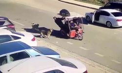 Köpekler saldırdı, motordan inen şahıs hayvanlara kızarak kovaladı