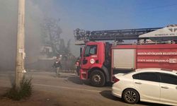 Yangın devasa ağacı sardı, ekiplerin müdahalesi ile eve sıçramadan söndürüldü