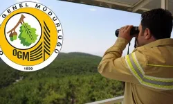 Listede Adana da var! Orman Genel Müdürlüğü 1128 sözleşmeli personel alacak