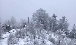 Adana’nın kuzey ilçeleri güne karla uyandı