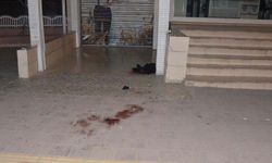Adana'da düğünde 2 grup bıçakları çıkardı: 10 yaralı