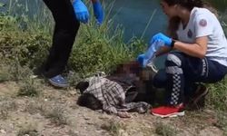 Adana'da 14 yaşındaki tarım işçisi kız çocuğu, elini yüzünü yıkamak istedi; boğularak öldü