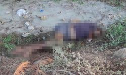 Adana'da şüpheli ölüm! Dere kenarında bacaklarından ve boynundan darp edilmiş kadın cesedi bulundu