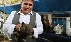 Adana'da istifa eden öğretmen teşvikle 10 tavşan aldı, şu anda dev tesisin sahibi...