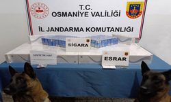 Osmaniye’de jandarma son bir haftada 107 kişi yakalandı