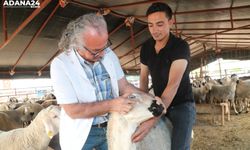 Yüreğir'de zabıtadan bayram öncesi sıkı denetim