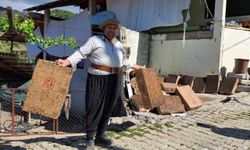 Bu da Adana usulü "sinekle mücadele"