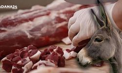 Adana’da eşek eti skandalı sürüyor!