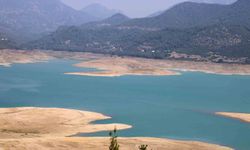 Kuraklık narenciye bahçelerini tehdit etmeye başladı