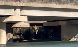 Serinlemek için metrelerce yükseklikten nehre atladılar