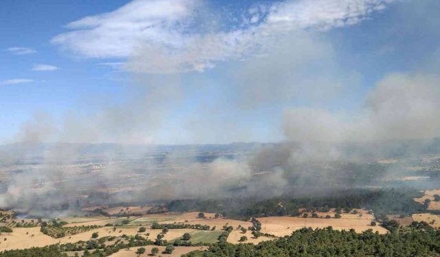Bayramiç Orman İşletme Müdürlüğü’nden orman yangını uyarısı