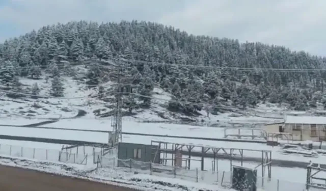 Adana'ya kış sonunda geldi: Karla mücadele başladı