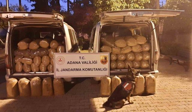 Adana’da 650 kilo kaçak kıyılmış tütün ele geçirildi