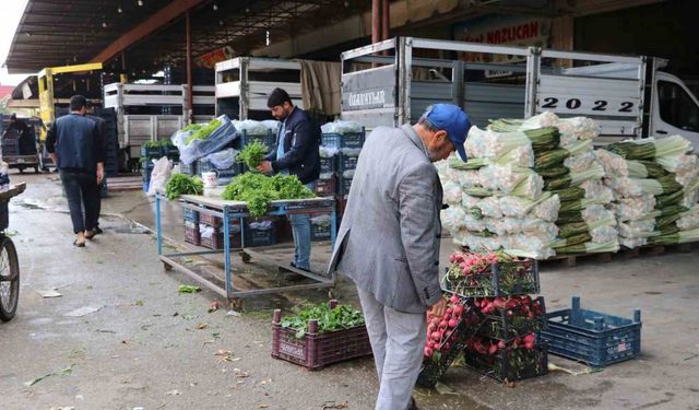 Bayram öncesi sebze ve meyve fiyatları düşebilir