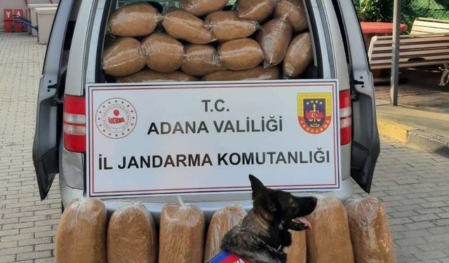 Adana’da kaçak 255 kilogram tütün ele geçirildi