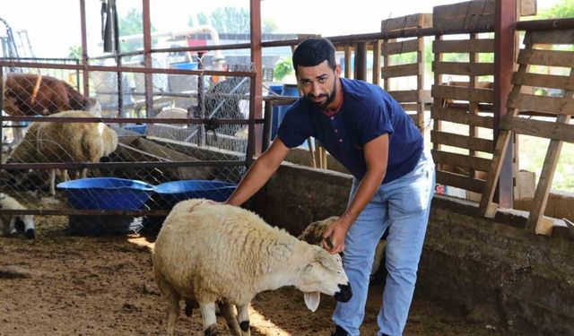 Adana’da kurban pazarları kurulmaya başladı, satıcılar dikkat edilmesi gerekenleri anlattı