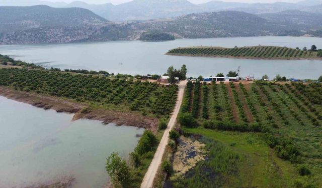 Adana’da nar çiçeklerinin görsel şöleni