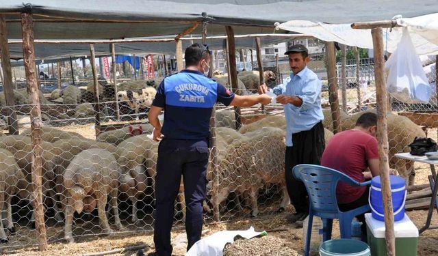 Çukurova’da Kurban satış yerleri belirlendi