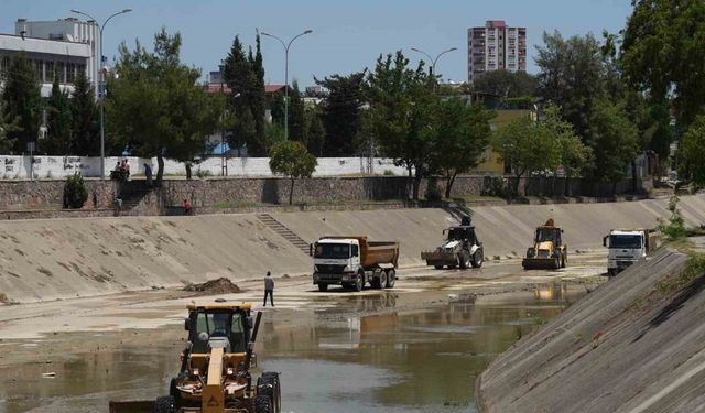 15 ilçede, 116 araç ve 441 personelle ilaçlama yapılıyor