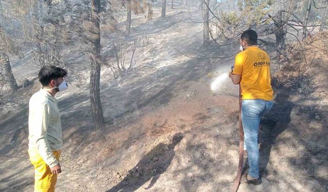 Adana’da orman yangını, büyümeden kontrol altına alındı