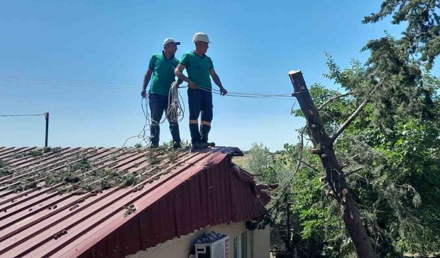 Ağaç lojmanın üzerine devrildi, ekipler kaldırdı