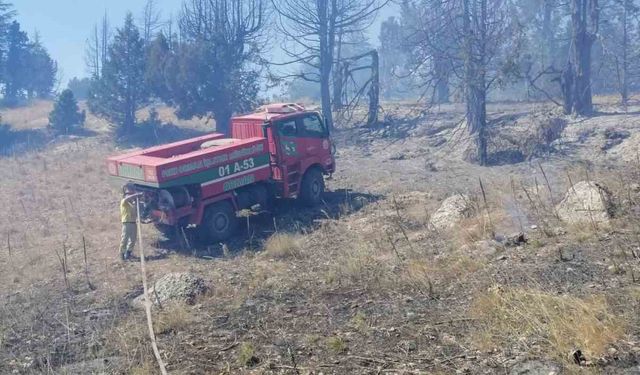 Orman yangını kontrol altına alındı