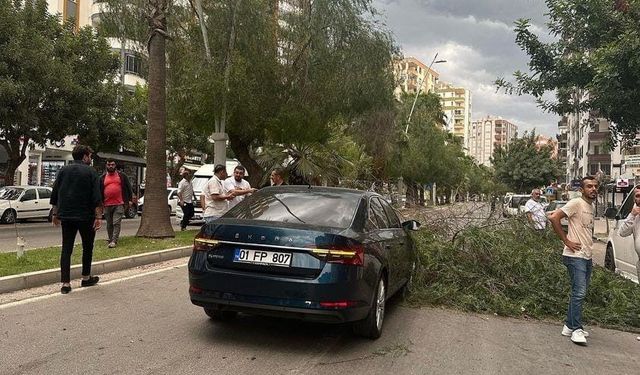 Adana’da kuvvetli yağış ve rüzgar hayatı olumsuz etkiledi