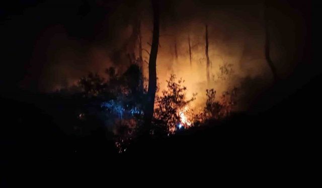 Adana’da aynı bölgede bir haftada ikinci orman yangını