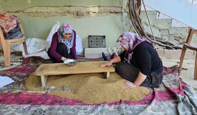 Buğdayın, bulgur olma yolculuğu başladı