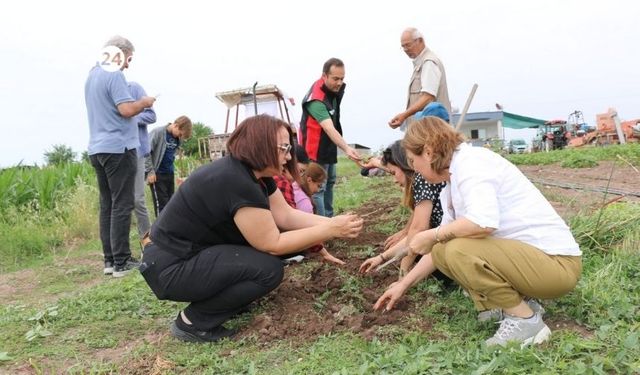 Adana’da 1 dönem eken para sayma makinesi alıyor!