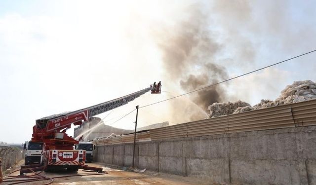 Adana'da geri dönüşüm fabrikasında yangın çıktı