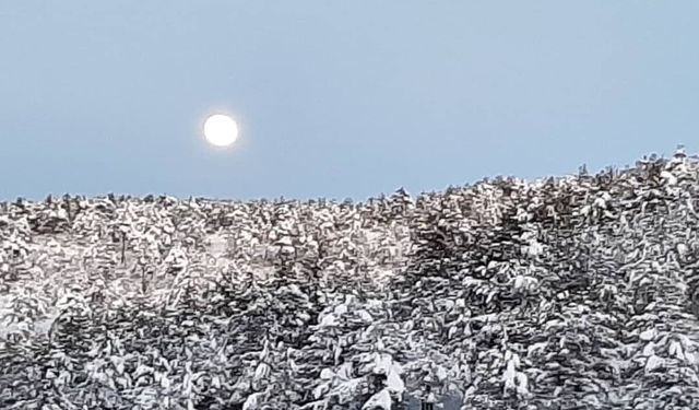 Adana’nın 3 ilçesine kar yağdı