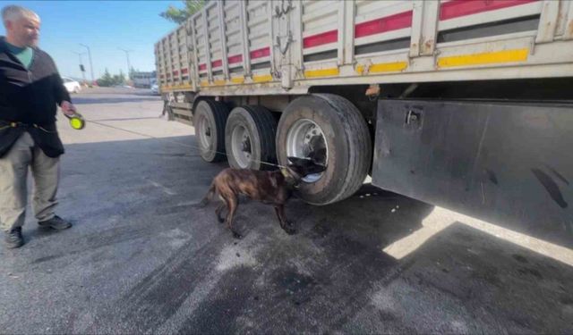 Adana'da tır lastiğinde 53 kilogram esrar çıktı