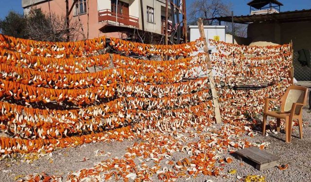 Kabuğu ile paraya para demiyorlar: Adana'da çamaşır ipinde 25 liradan satılıyor!