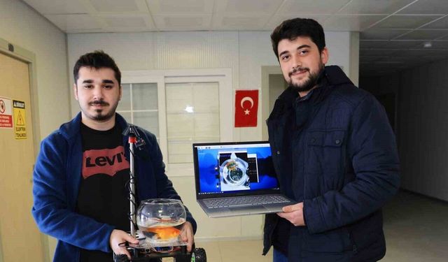Bu balık araba sürüyor