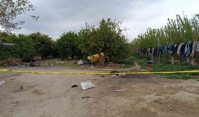 Adana'da portakal bahçesinde tahsilat cinayeti!