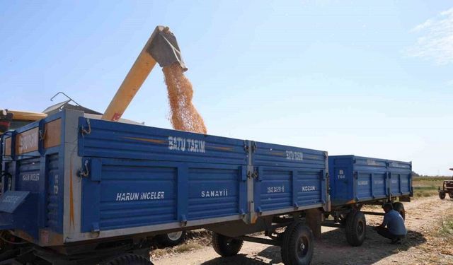 Adana’da aşırı sıcaklarda üreticilerin zorlu mesaisi