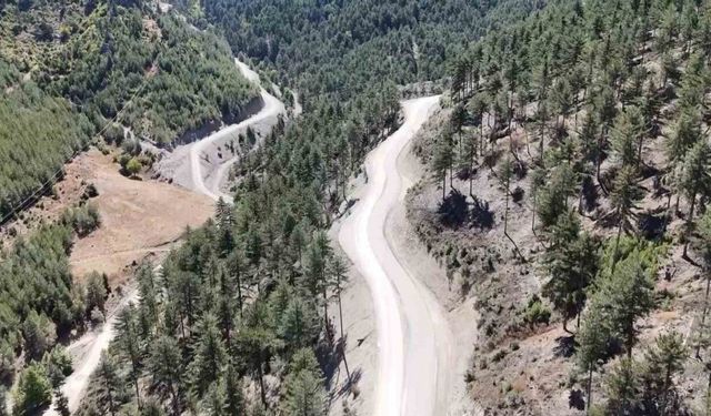 Feke’de 75 yıl sonra genişletilen yollar ormanın güzelliğini ortaya çıkardı