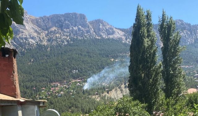 Pozantı’da çıkan orman yangını kontrol altına alındı