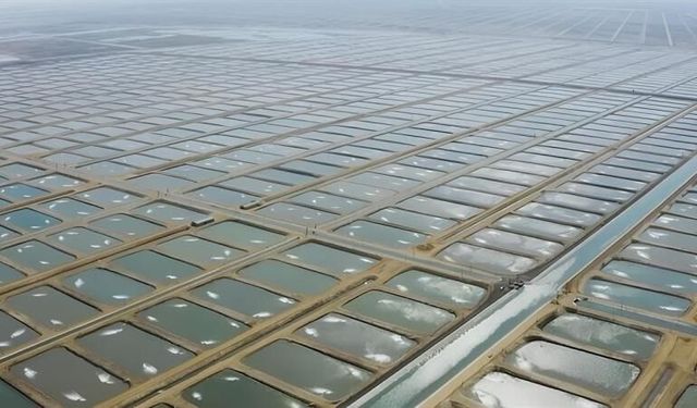 Adana'dan tarladan balık fışkıracak, binlerce kişiye iş imkanı doğacak!