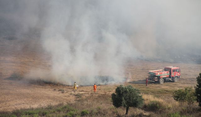 Antalya'da anızdan çıkıp zeytin bahçelerine sıçrayan yangın söndürüldü